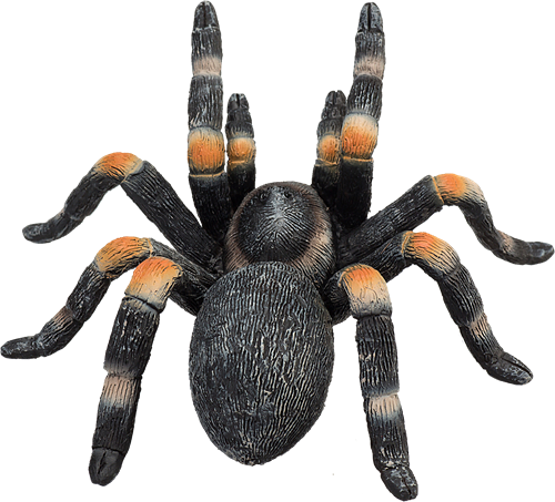 Mojo Wildlife giocattolo Tarantola ginocchio rosso - 387213-2
