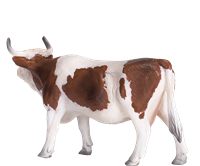 Mojo Farm speelgoed Simmental Koe - 387220