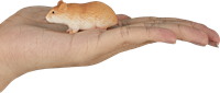Mojo Pets giocattolo criceto - 387236-3