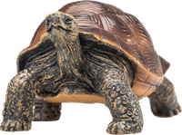 Mojo Giocattolo della fauna selvatica Tartaruga gigante - 387259