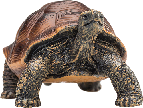 Mojo Wildlife speelgoed Reuzenschildpad - 387259