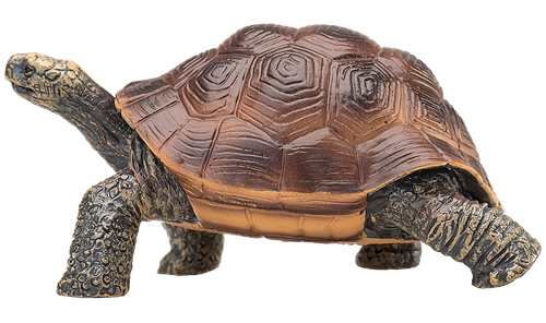 Mojo Wildlife speelgoed Reuzenschildpad - 387259