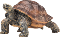 Mojo Giocattolo della fauna selvatica Tartaruga gigante - 387259-2