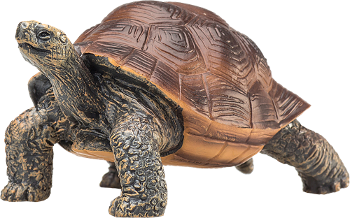 Mojo Giocattolo della fauna selvatica Tartaruga gigante - 387259-2