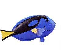 Mojo Giocattolo Sealife Pesce Blue Tang - 387269