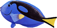 Mojo Giocattolo Sealife Pesce Blue Tang - 387269-2