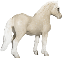 Mojo Cavallo giocattolo Cavallo del Galles Pony - 387282-2