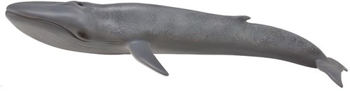 COLLECTA Blue Whale - (XL)