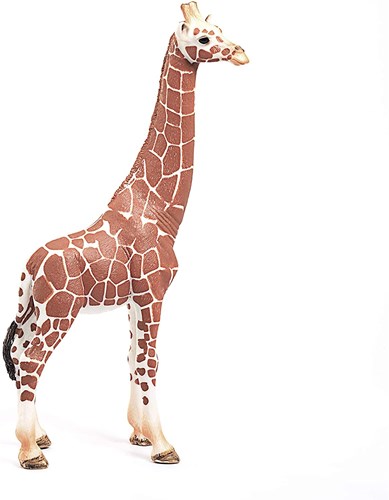 Schleich Safari - Giraffa Femmina Figura da Gioco 14750 Animali Zoo-2
