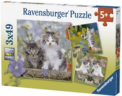 Ravensburger puzzle gatti - 3x49 pezzi - puzzle animali per bambini