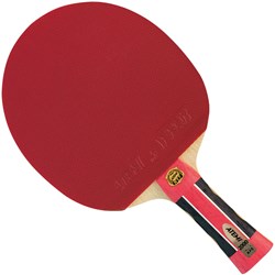 Atemi racchetta ping pong pro 2000 ITTF anatomic - qualità da competizione