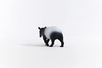 Schleich Wild Life Tapir - Figura da gioco - Giocattolo per bambini 14850-3