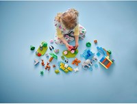 LEGO DUPLO Town 10446 3-In-1 Families van Wilde Dieren-3