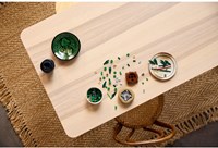 LEGO Botanicals 10344 Bamboe-3