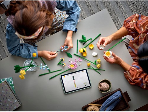 LEGO Botanicals 10347 Klein Zomers Boeket-3