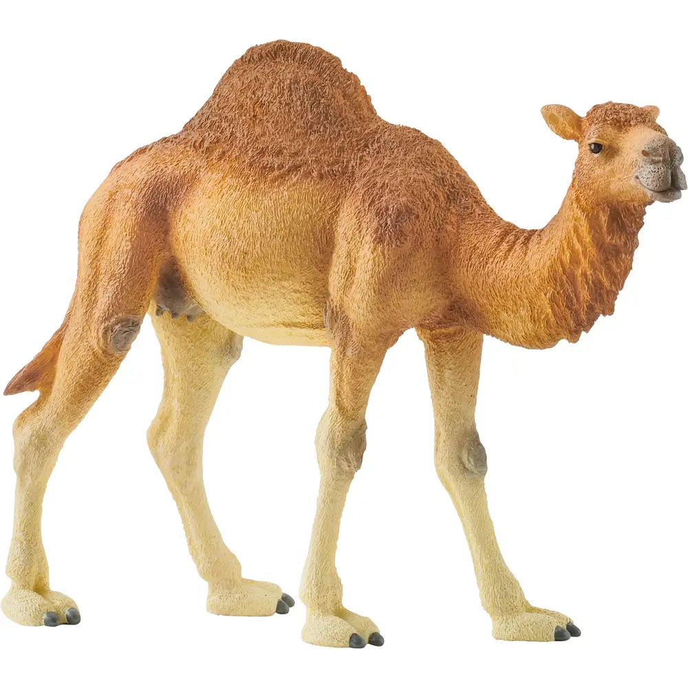 Schleich Safari - Dromedario figura 14832 giocattolo per bambini
