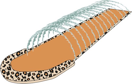 Swim Essentials scivolo d'acqua beige leopardato - sprinkler gonfiabile-2