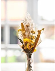 Brievenbuspakket  Droogbloemen 36x3cm