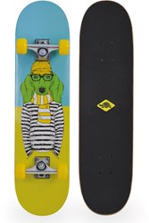 Schildkröt skateboard principiante verde 31 pollici double kick grip
