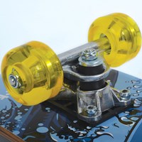 Schildkröt skateboard junior 24 pollici tavola in legno grip tape ruote PU-2