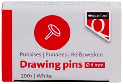 Quantore puntine argento 100 pezzi - accessori metallici per bacheca