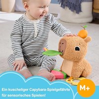 Mattel Fisher-Price peluche capibara giocattolo sensoriale neonato multicolore-2