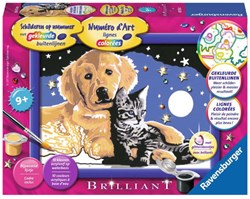 Ravensburger pittura cielo stellato giocattolo creativo - dipingi con i numeri