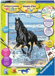 Ravensburger dipingi con i numeri cavallo tra le onde - set creativo hobby