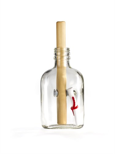Eureka rompicapo - Message in a Bottle puzzle 3D per adulti-2