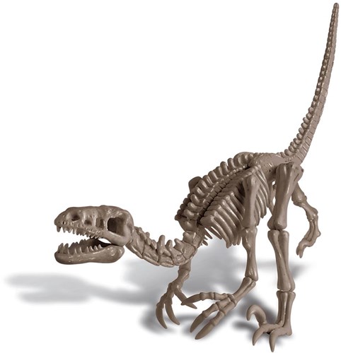 4M KidzLabs kit di scavo dinosauro - Velociraptor - giocattolo educativo-2