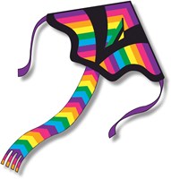 Knoop Kites aquilone Delta Rainbowtail JUMBO 125x145 giocattolo colorato