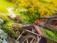 Enjoy Puzzle puzzle Magic Creek Cabin - 1000 pezzi adulti-2