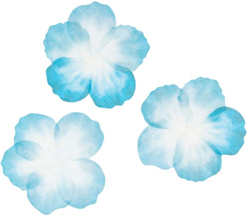 Colorations washi stickers petali di fiore blu - set creativo 80 pezzi-3