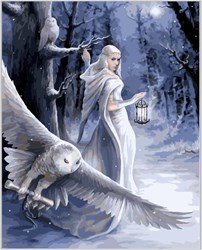 MIDNIGHT MESSENGER - 40X50CM PAINT BY NUMB3RS KIT
