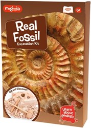 FOSSIL DIG KIT