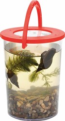 Eduplay bicchiere con lente d'ingrandimento - gioco educativo natura
