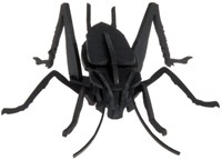 Modello di carta 3D FRIDOLIN - Grillo
