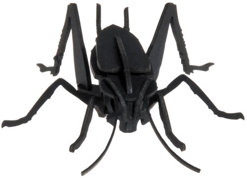 Modello di carta 3D FRIDOLIN - Grillo