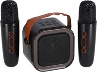 Set karaoke duo party speaker con due microfoni nero wireless-3