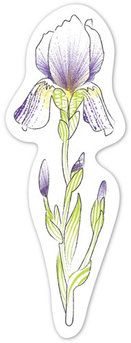 Avenir pittura ad acqua fiori giocattolo creativo per bambini-2