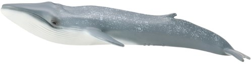 COLLECTA Blue Whale - (XL)-3
