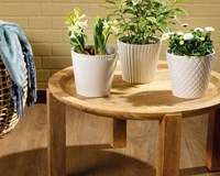 OttoSimon vaso da fiori in ceramica decorativo 4 assortiti bianco moderno-2