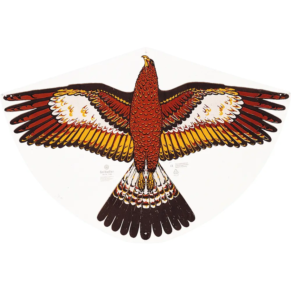 Günther aquilone per bambini Goldadler 92x62cm multicolore