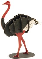 Modello 3D in carta FRIDOLIN - Struzzo
