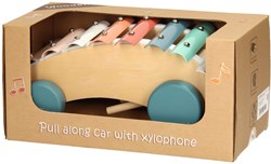 Xilofono in legno da trainare pastello giocattolo educativo multicolore