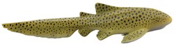 COLLECTA Zebra Shark - (M)