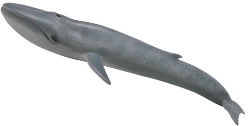 COLLECTA Blue Whale - (XL)-2