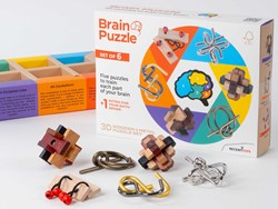 Recent Toys Set di 6 Brainpuzzle