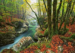 Heye puzzle Little Brook 1000 pezzi - Puzzle Magic Forest FSC