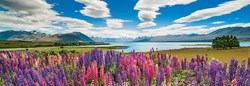 Heye puzzle panorama Lake Tekapo 1000 pezzi puzzle paesaggio
